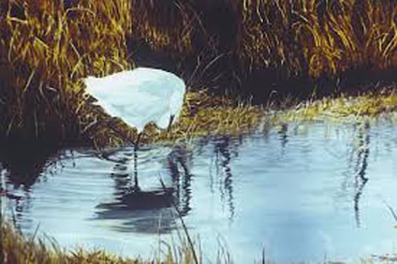 Practice Makes.... by Debi Davis, Image 1.