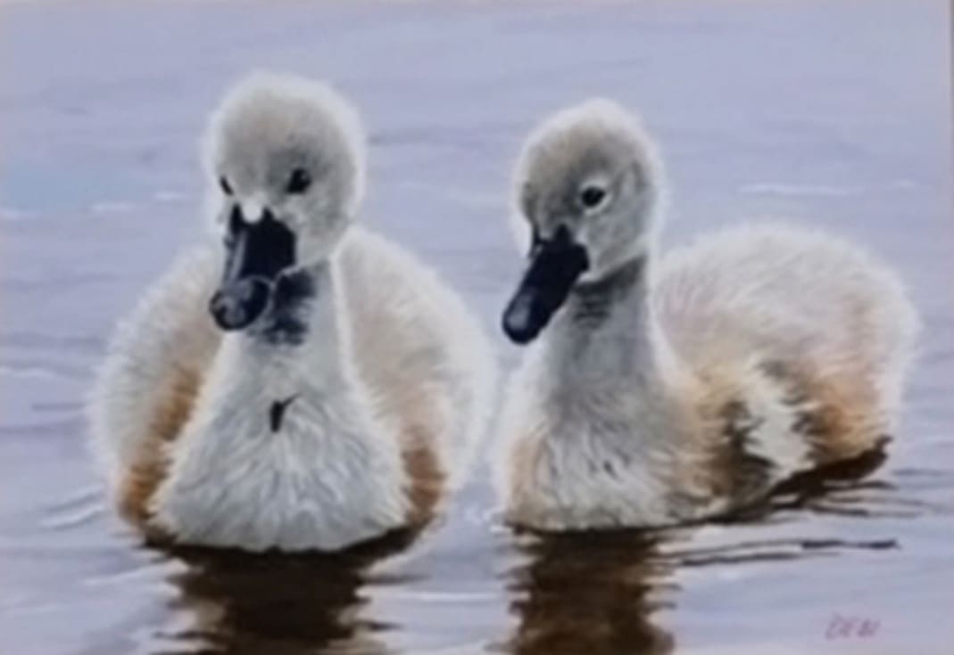 Cute Chicks by Debi Davis, Image 1.
