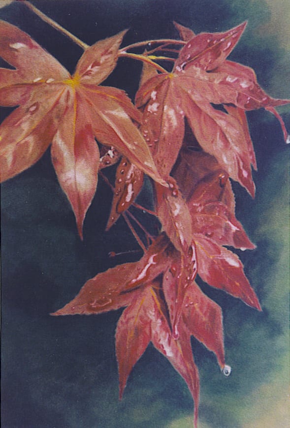 april shower by Debi Davis, Image 1.