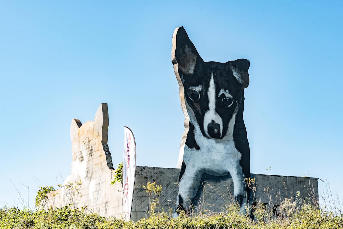 Adopt Us by Blue Sky, Image 1.