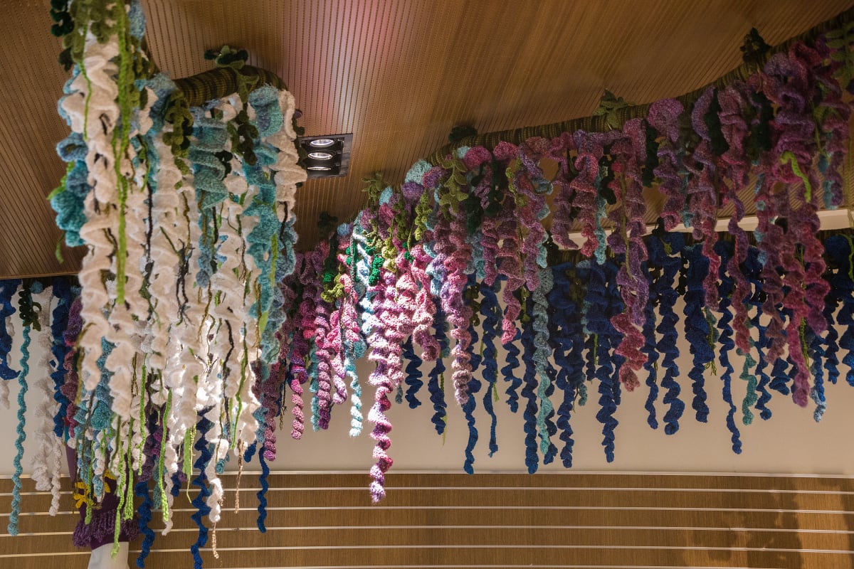 Hyperbolic Crochet Wisteria by Barbara Streeter 