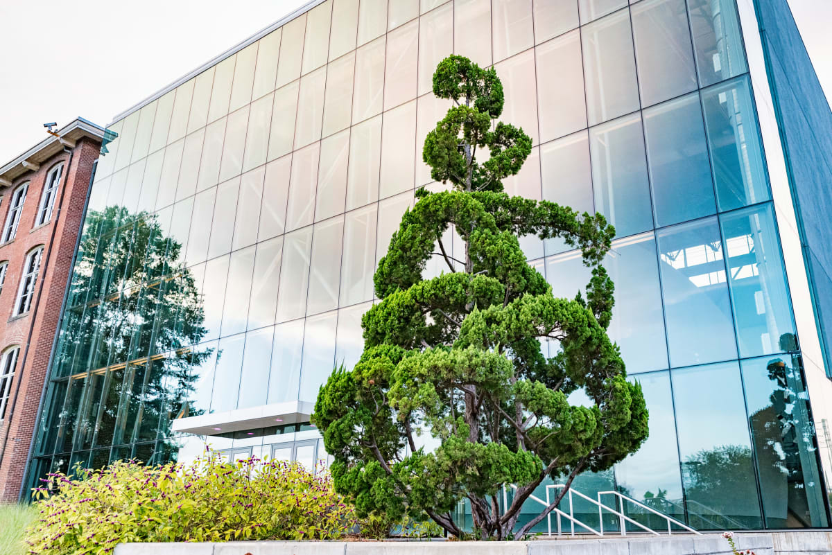 Topiary by Pearl Fryar 