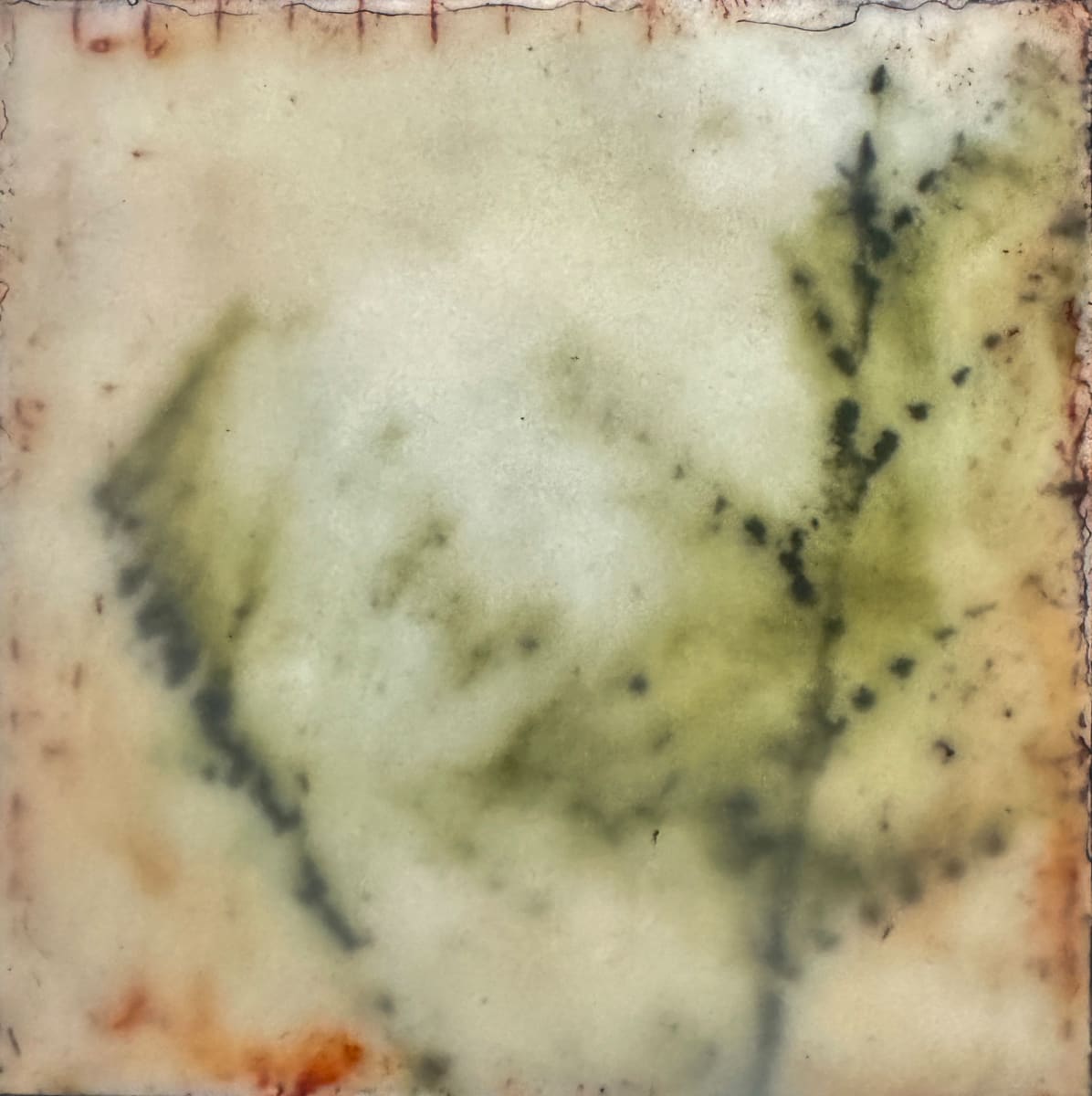 Branches by Lisa Sweo Eul 