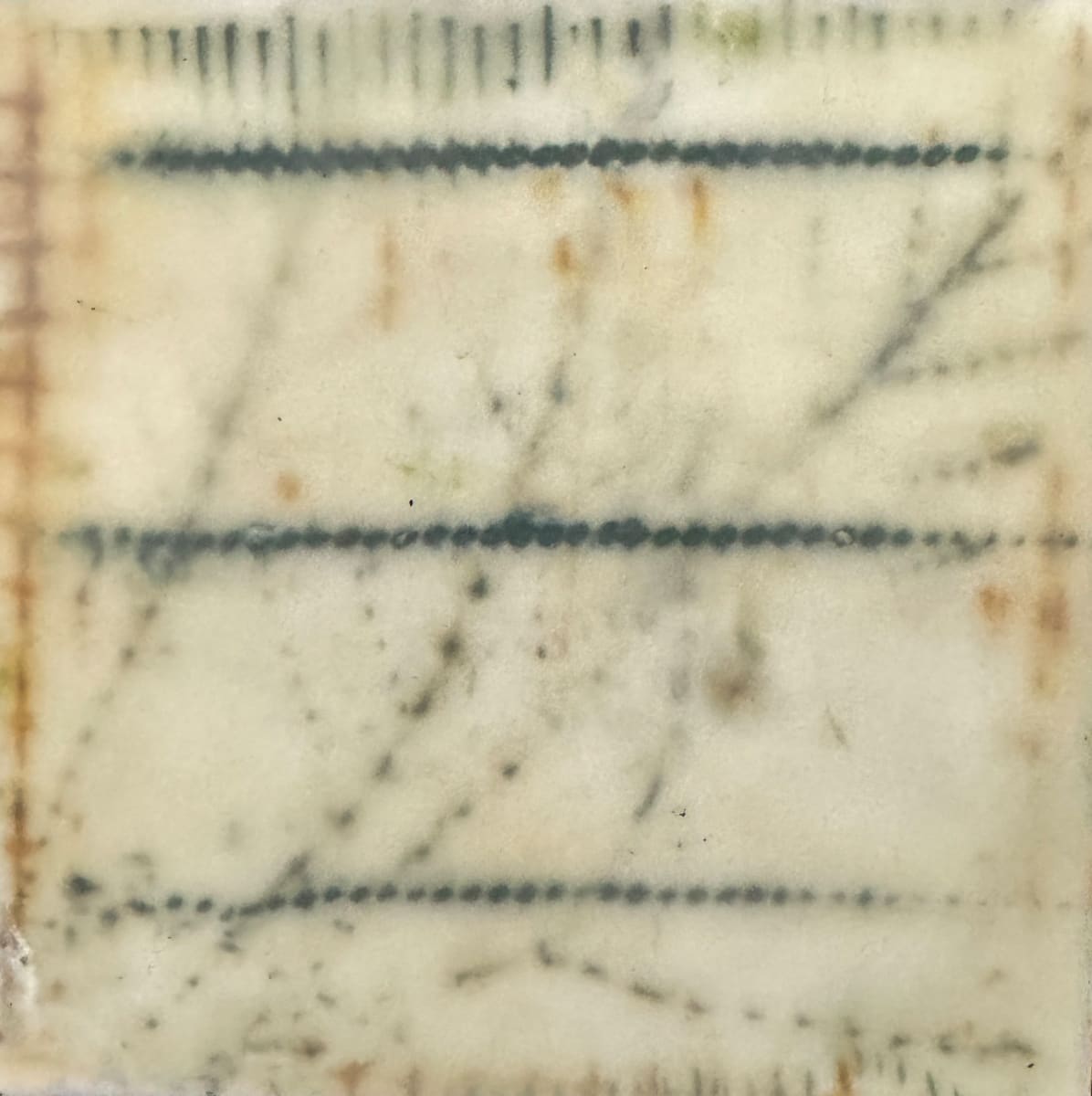 Branches #4 by Lisa Sweo Eul, Image 1.