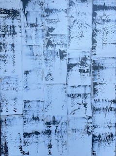 Birch by Lisa Sweo Eul 