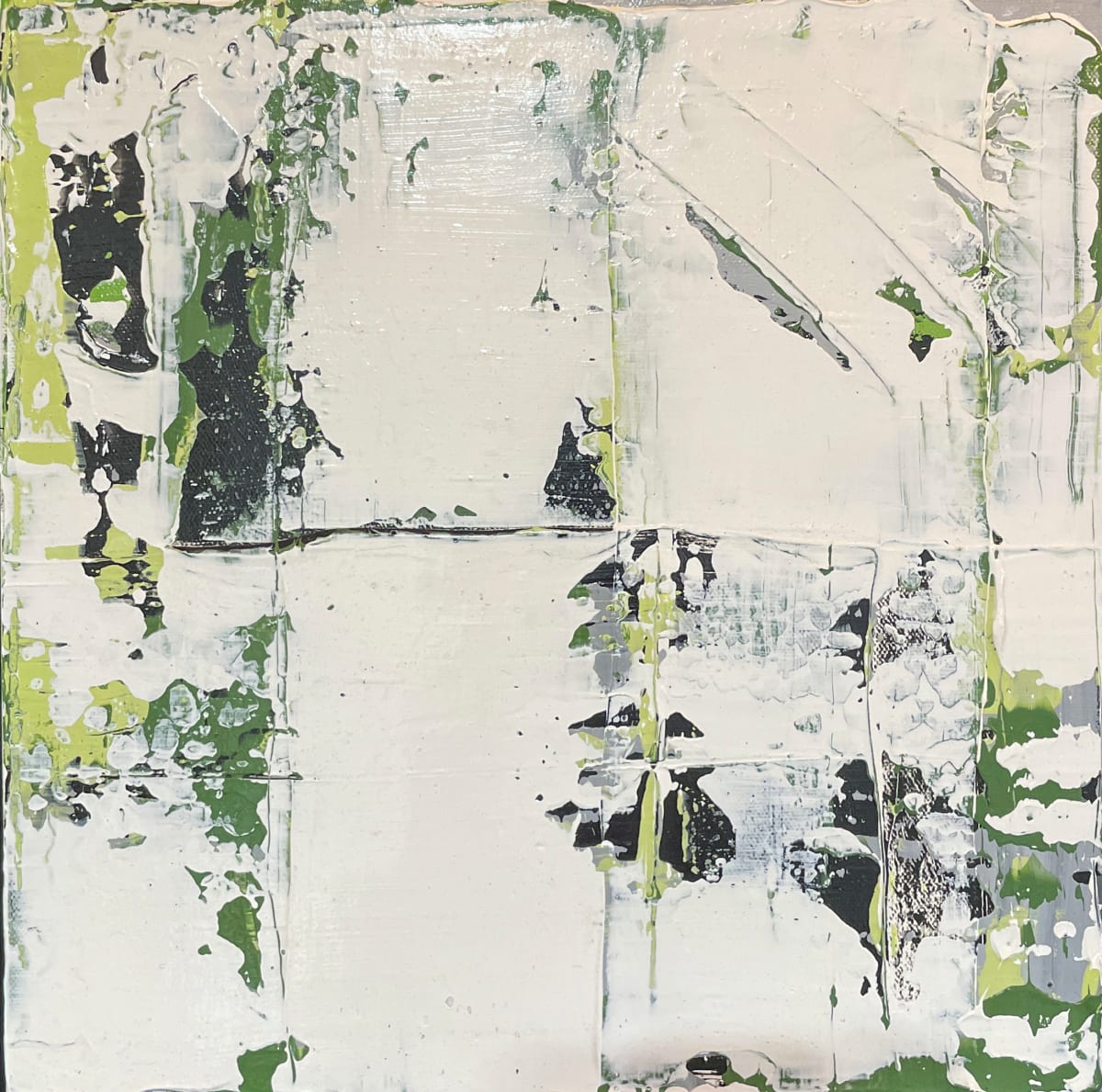 Moss on rocks #4 by Lisa Sweo Eul 
