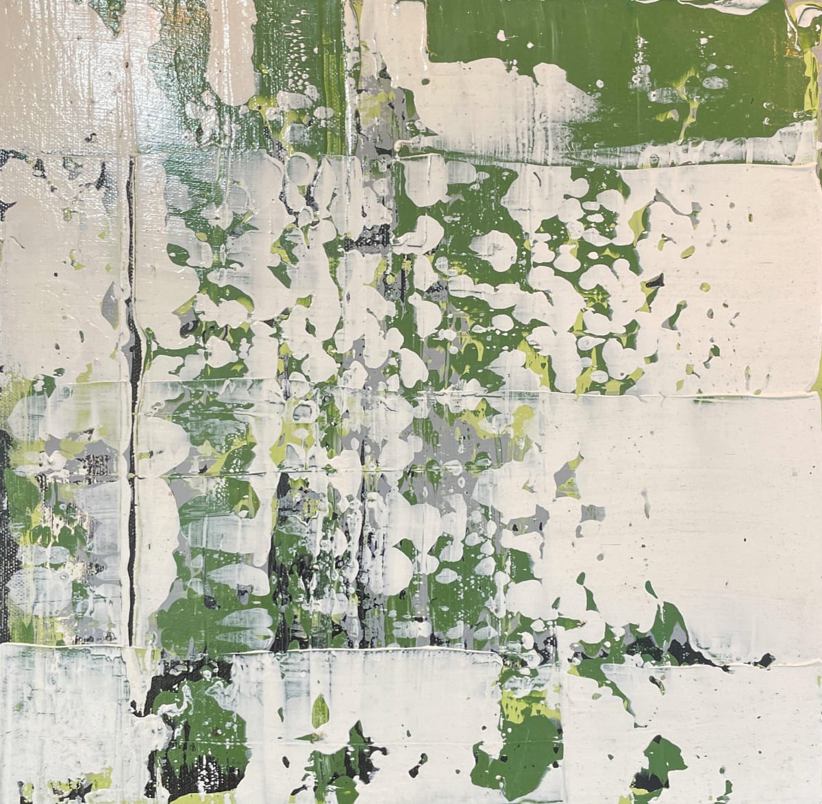 Moss on rocks #5 by Lisa Sweo Eul, Image 1.