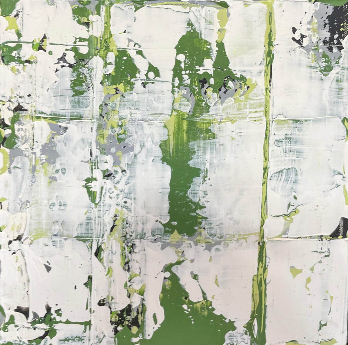 Moss on rocks #6 by Lisa Sweo Eul 
