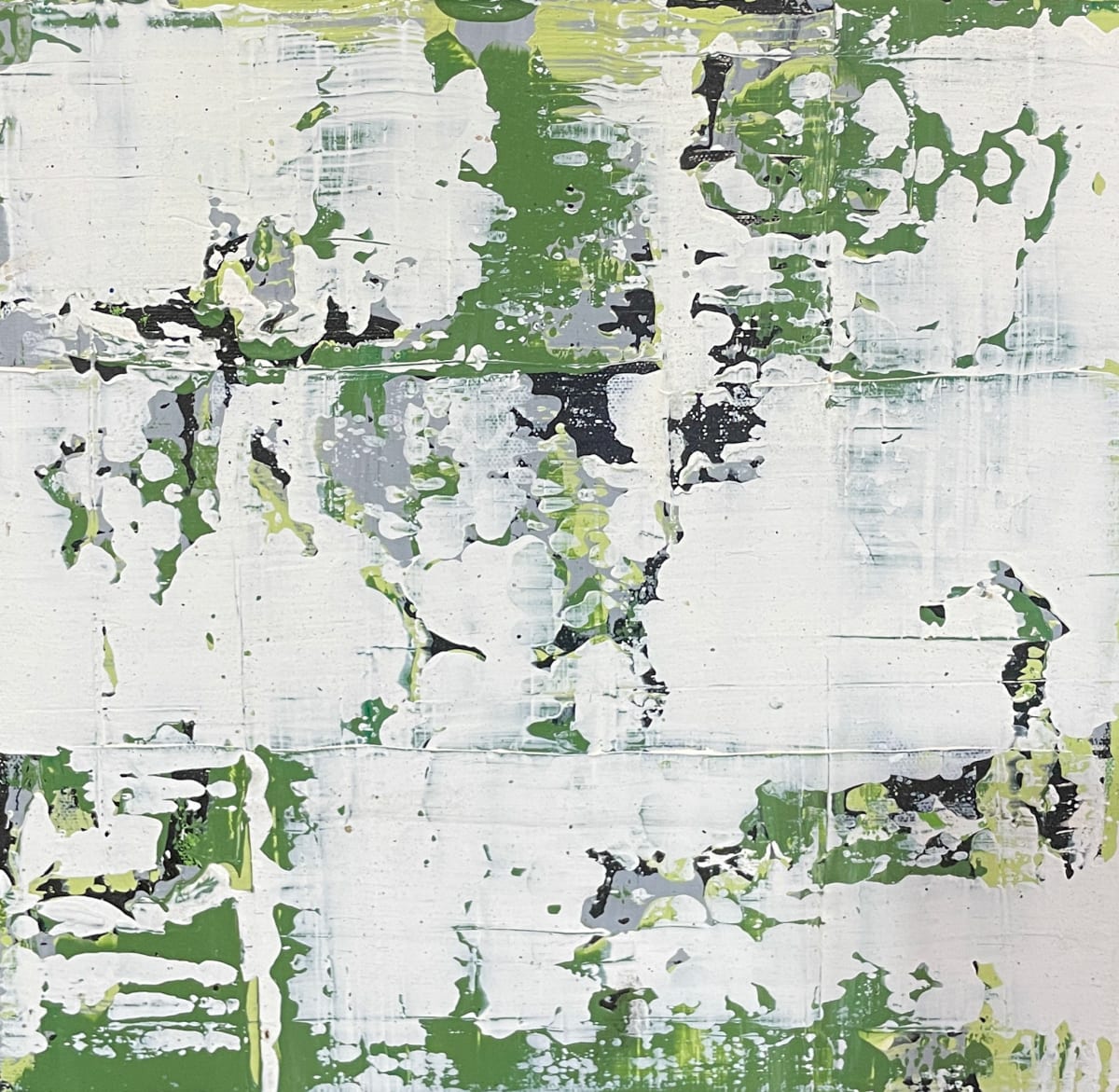 Moss on rocks #1 by Lisa Sweo Eul 
