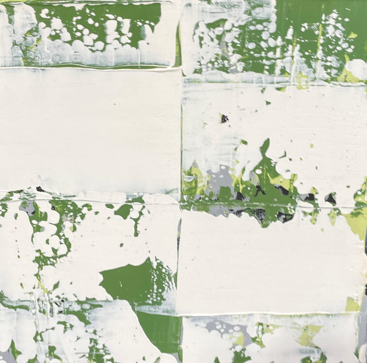 Moss on rocks #2 by Lisa Sweo Eul 