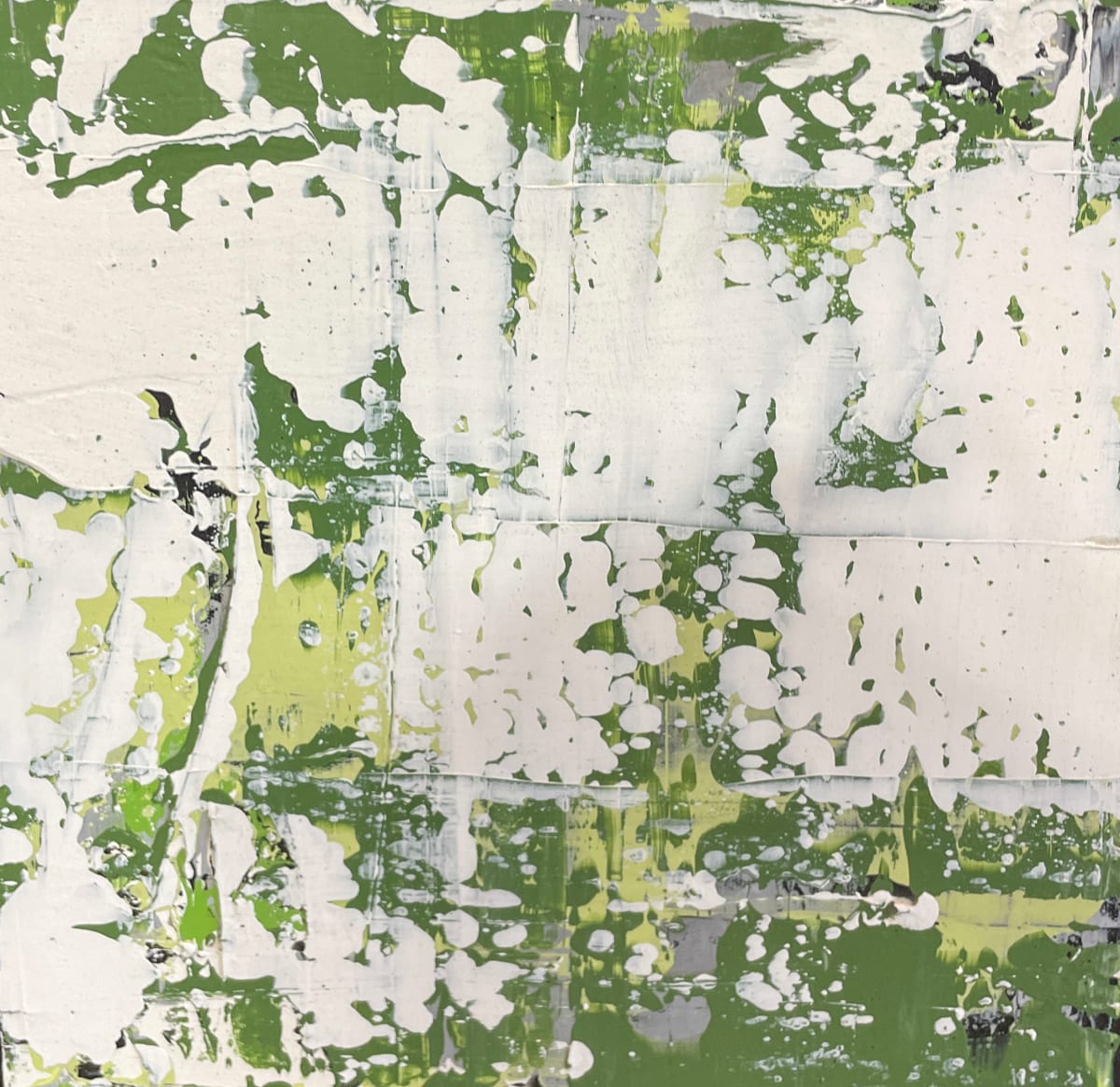 Moss on rocks #3 by Lisa Sweo Eul 