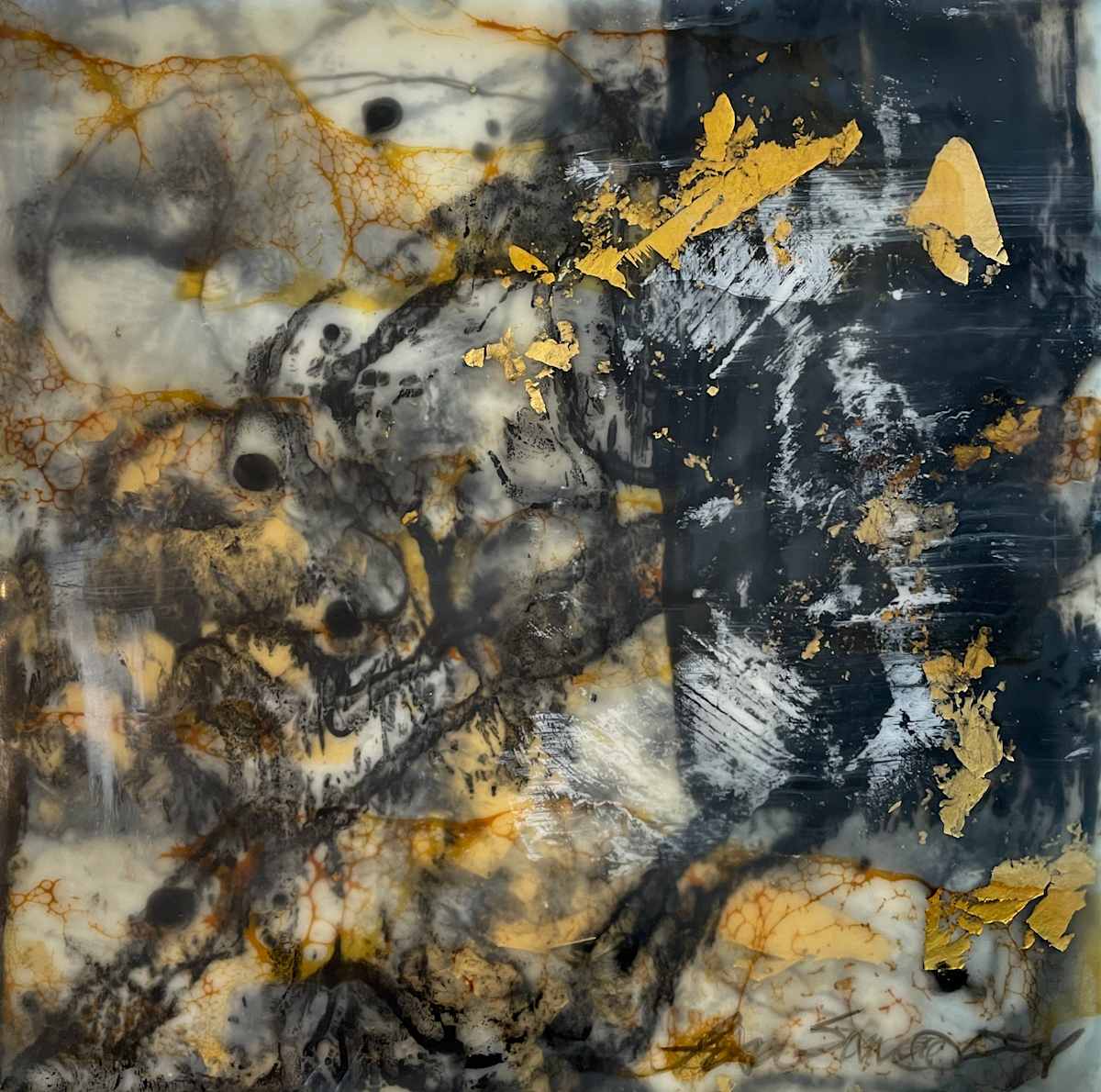 Controlled Chaos, Image 1.