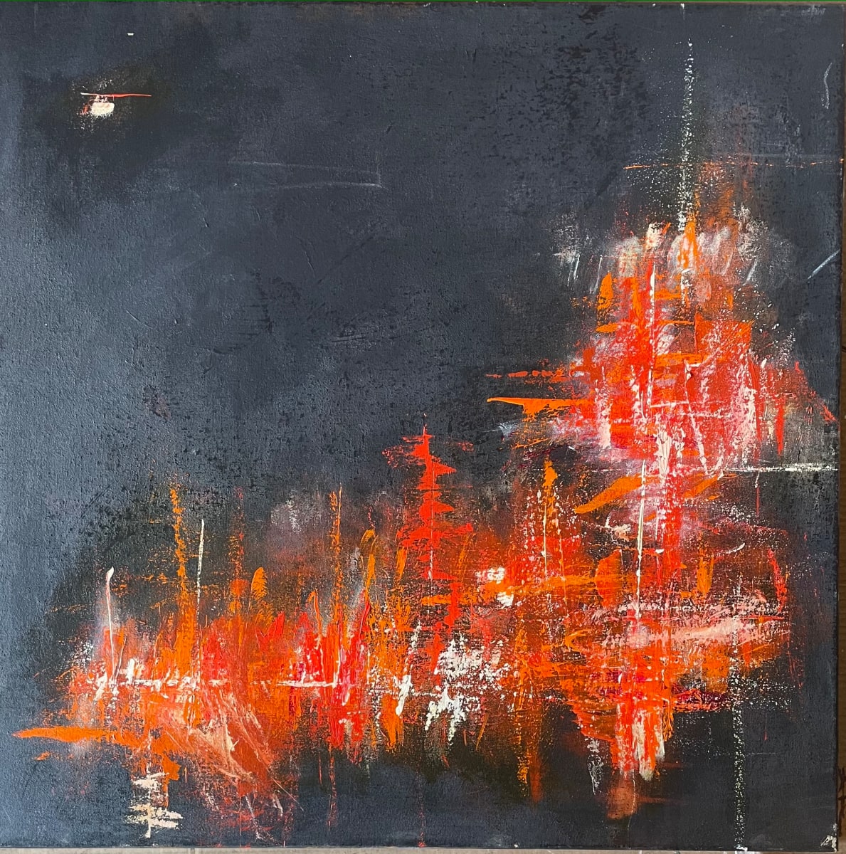 Fireworks by Lisa Sweo Eul 