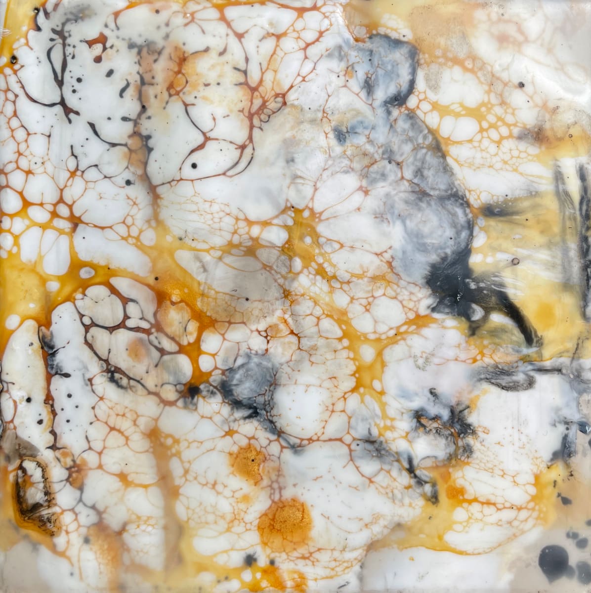 Black and Gold #2, Image 1.