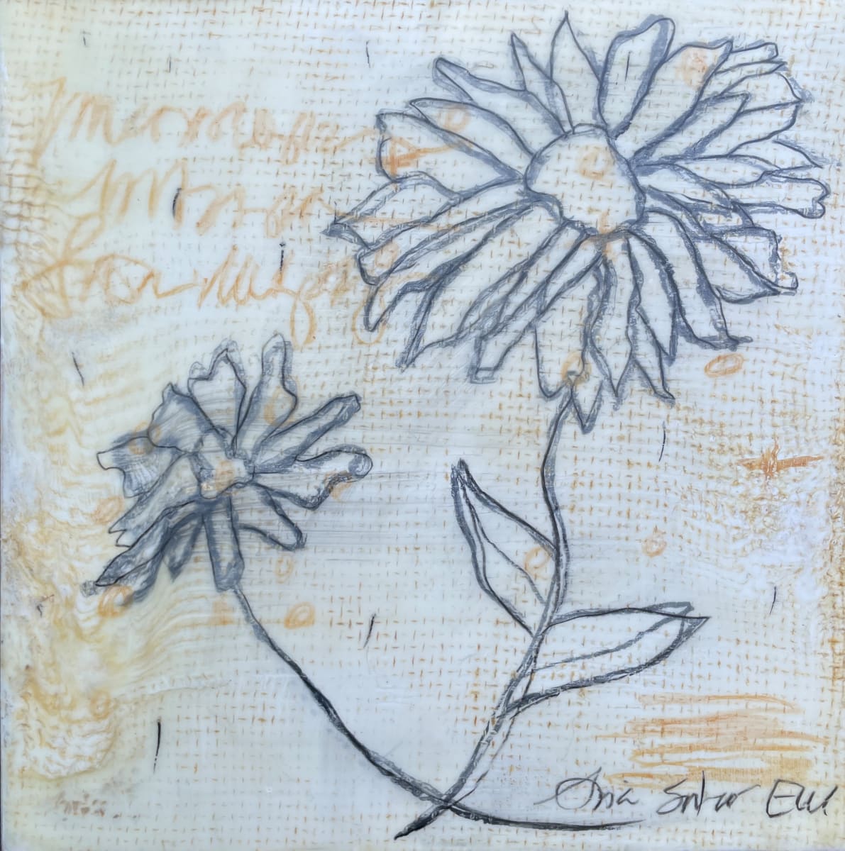 Flowers, Image 1.