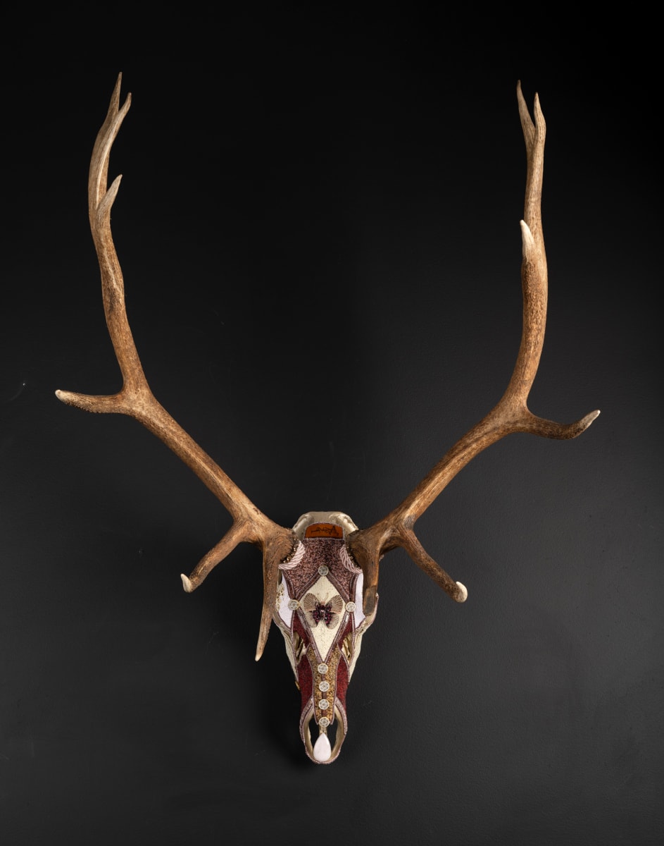 Acraea by Kelly Nygard 