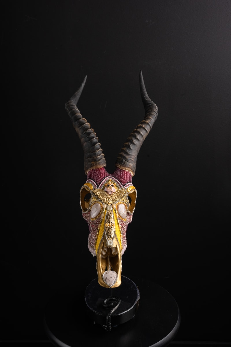 Amir by Kelly Nygard 