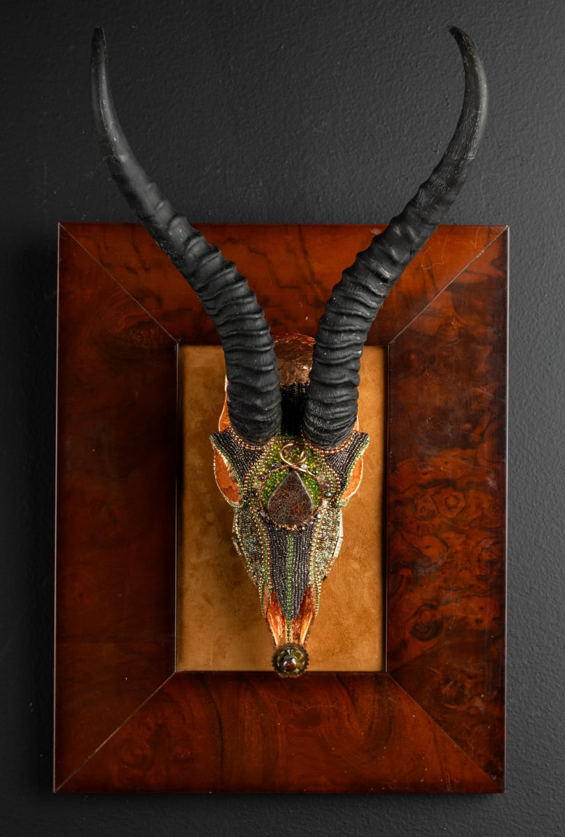 Drifting Dino by Kelly Nygard 