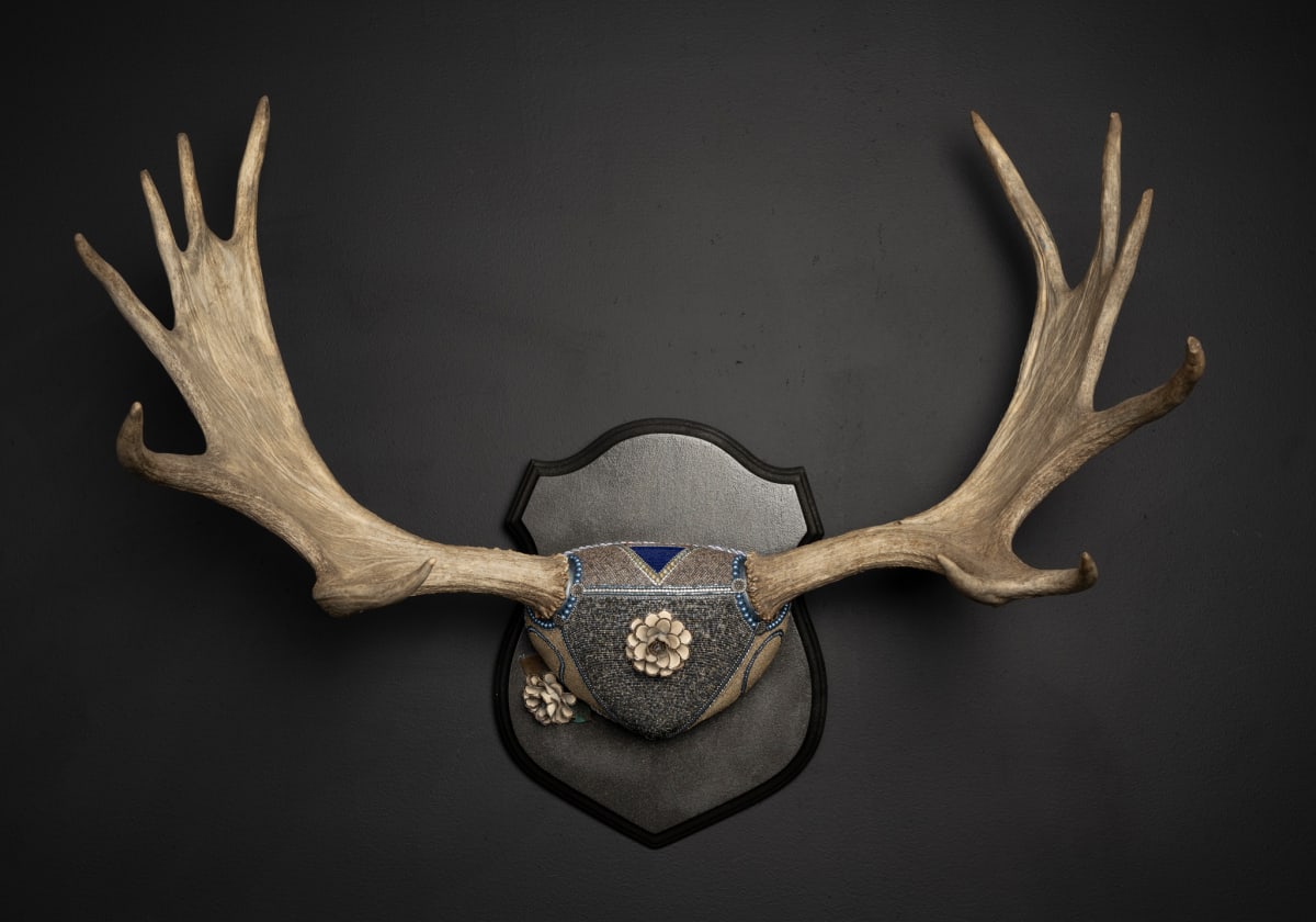 Bullwinkle Blue by Kelly Nygard, Image 5.