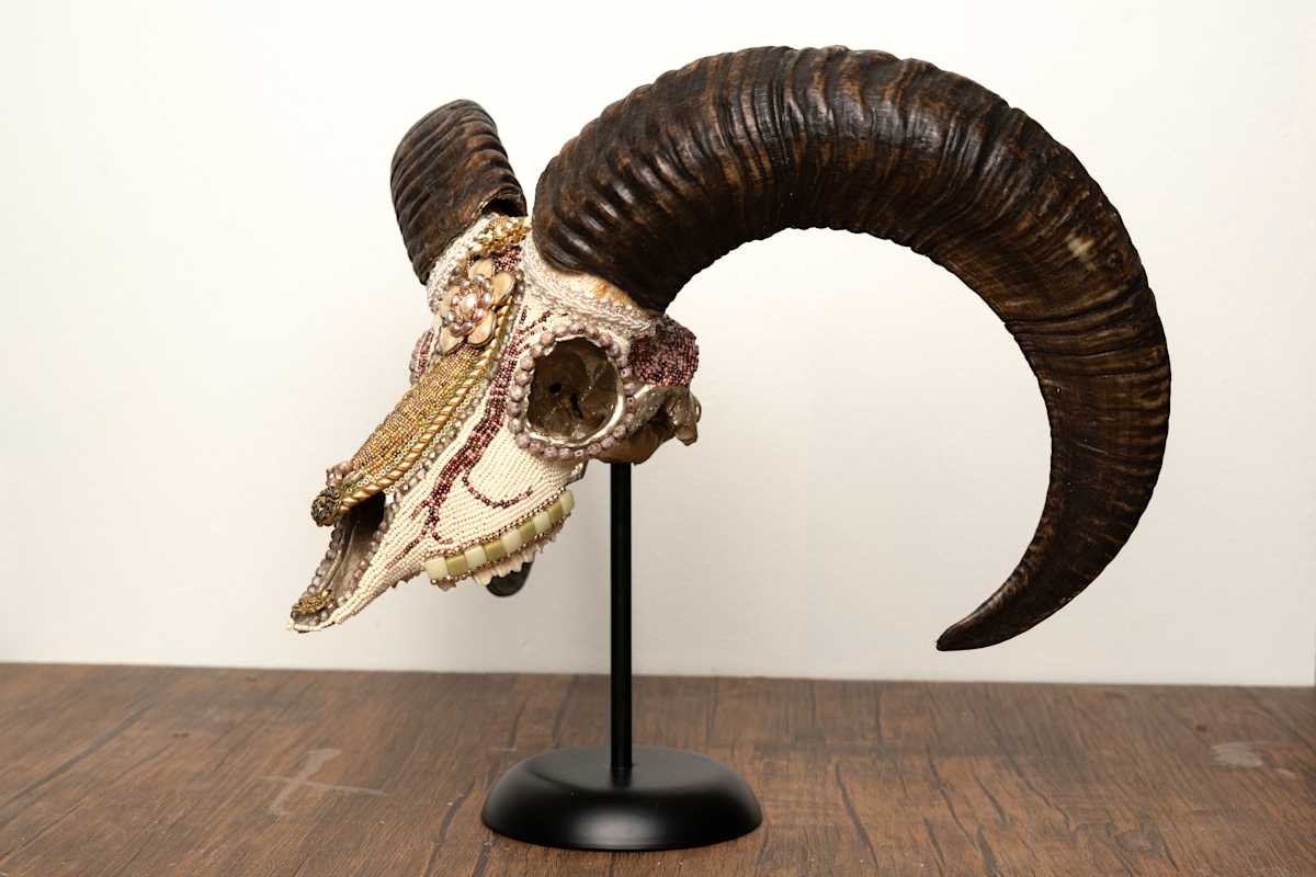 Fiorello by Kelly Nygard, Image 5.