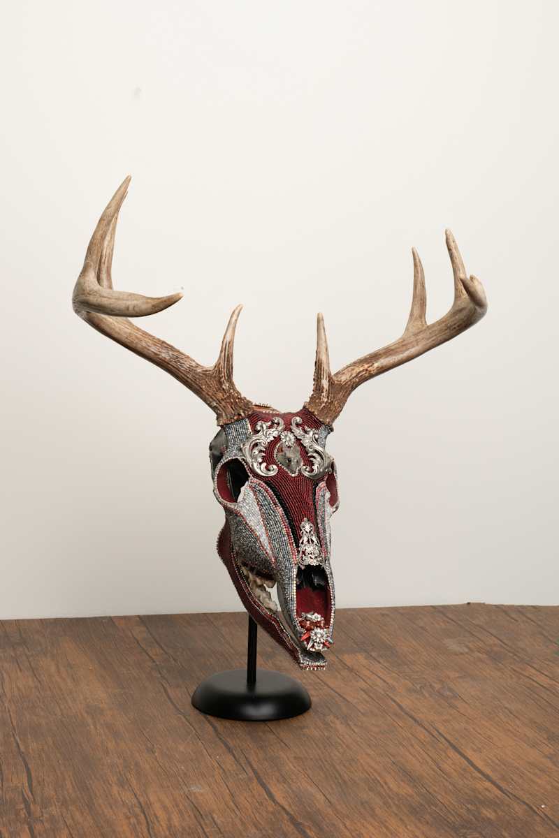 Grayson by Kelly Nygard, Image 4.