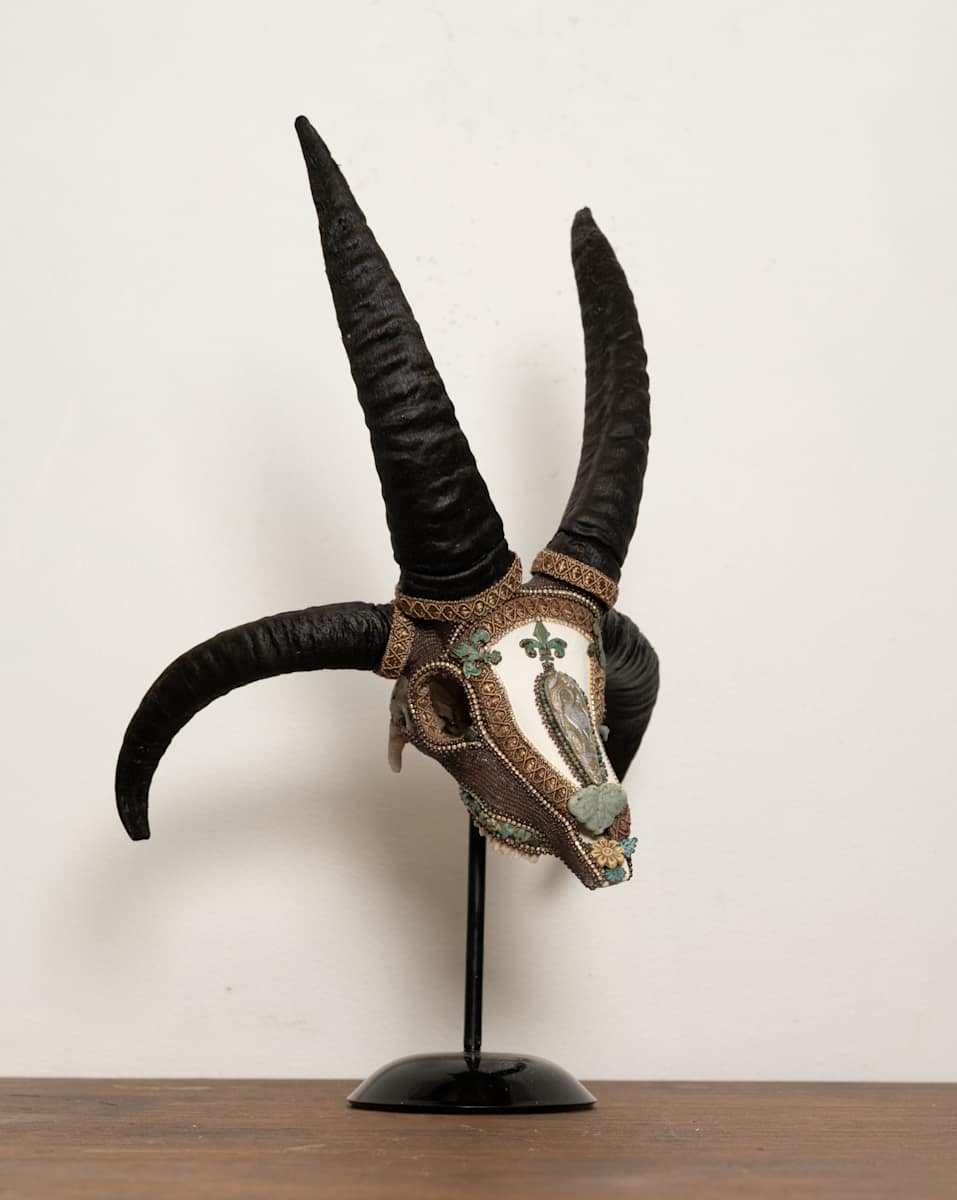 Stillwater Sentinel by Kelly Nygard, Image 1.
