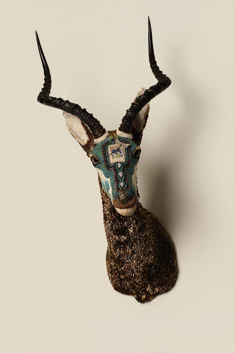 Kele - Carousel Impala by Kelly Nygard 