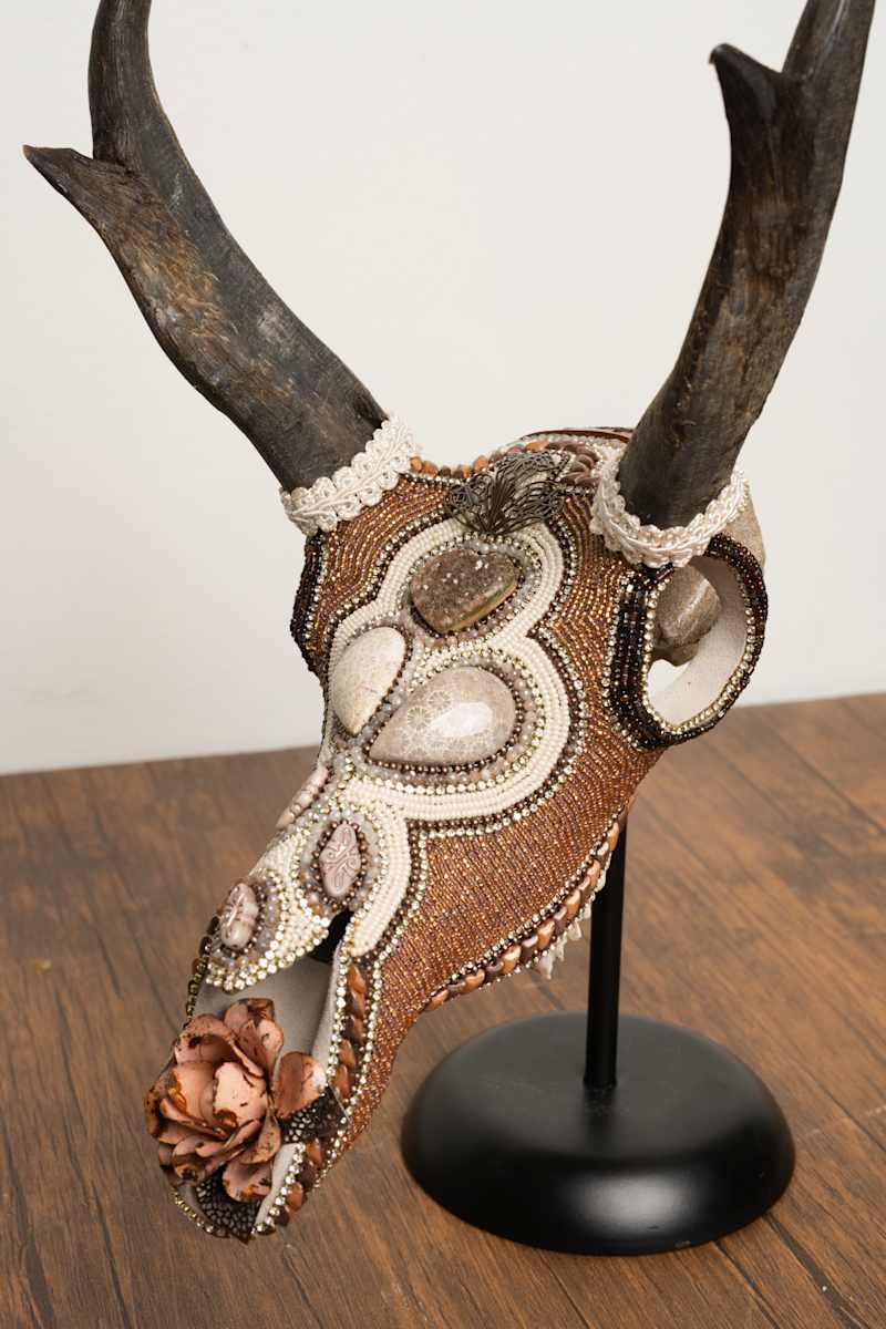 Lincoln by Kelly Nygard 