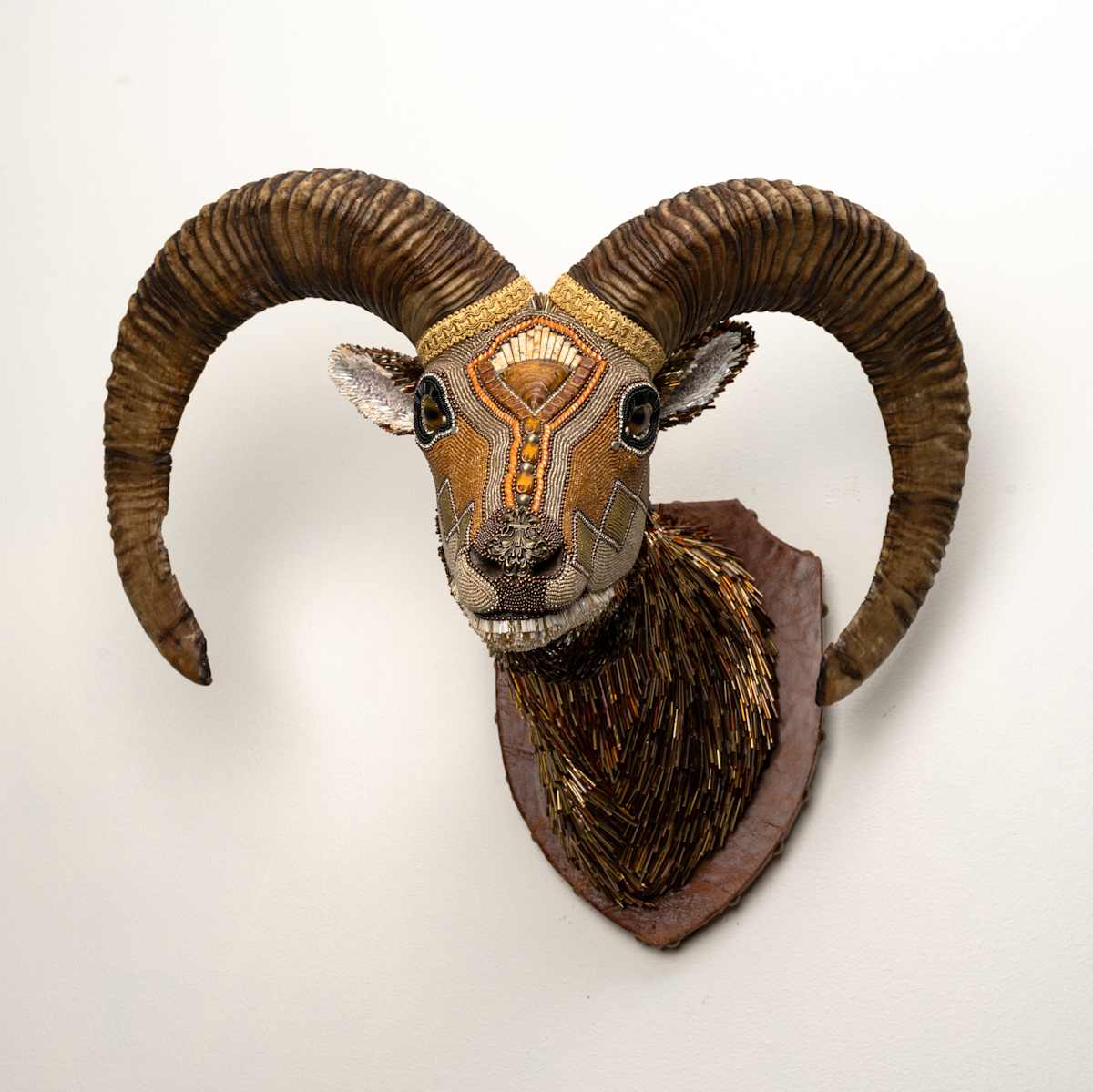 Ramses by Kelly Nygard, Image 8.