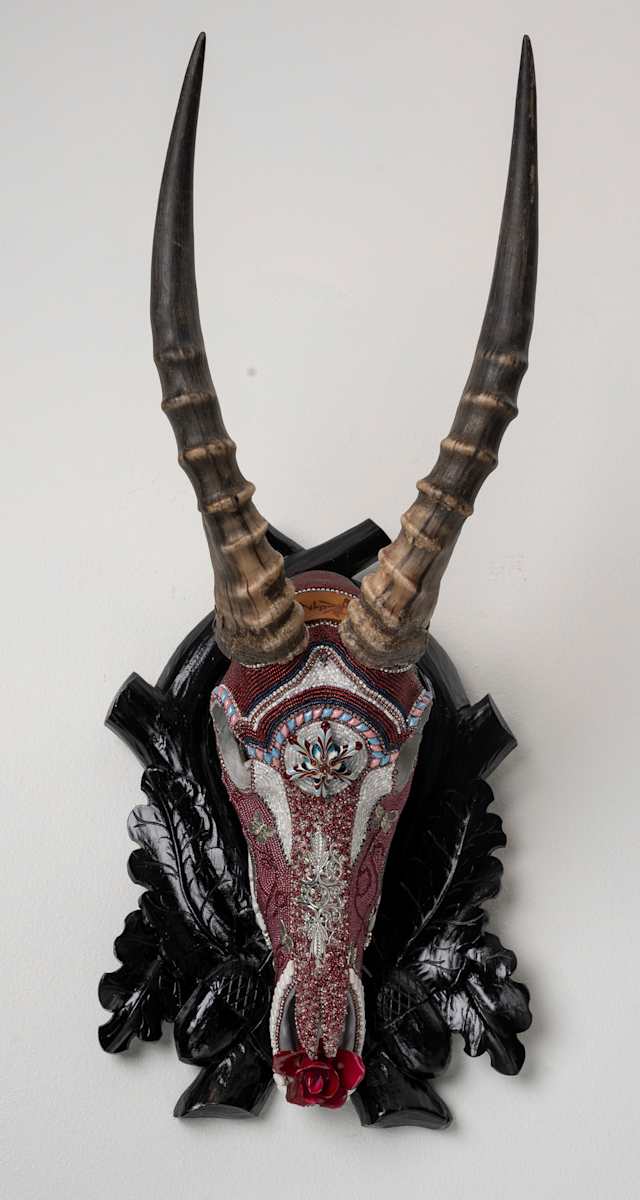 Sirius by Kelly Nygard, Image 9.