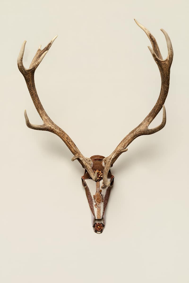 Waagosh by Kelly Nygard 