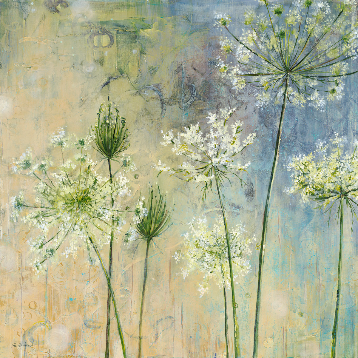 Delicate Nostalgia by Sarah Goodnough 