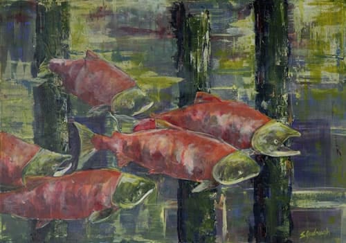 Five Spawning Sockeye by Sarah Goodnough, Image 1.