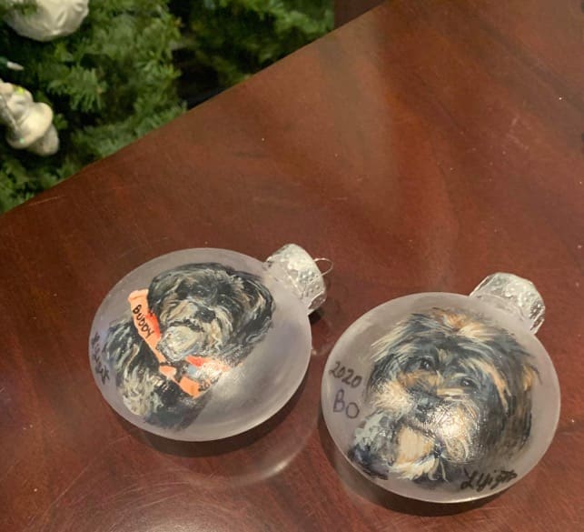 Buddy and Bo bo  Image: Gifted