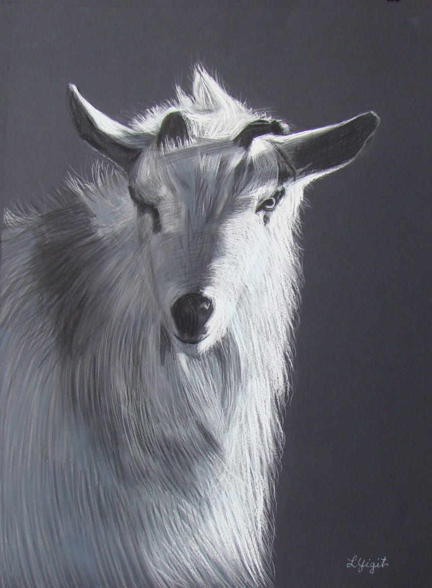 The Goat - Strength, Courage and Independance by Lorraine Yigit  Image: The Goat
