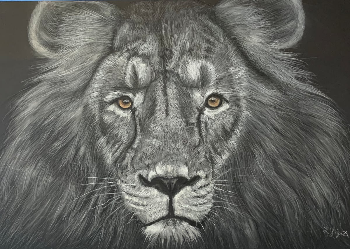 Le Bestie  Image: Print only available, priced on size