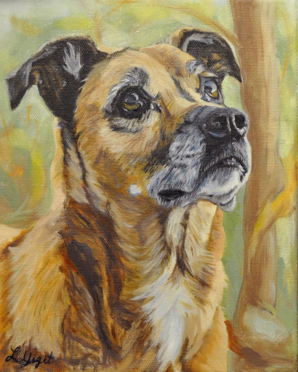 Ozzy by Lorraine Yigit, Image 1.