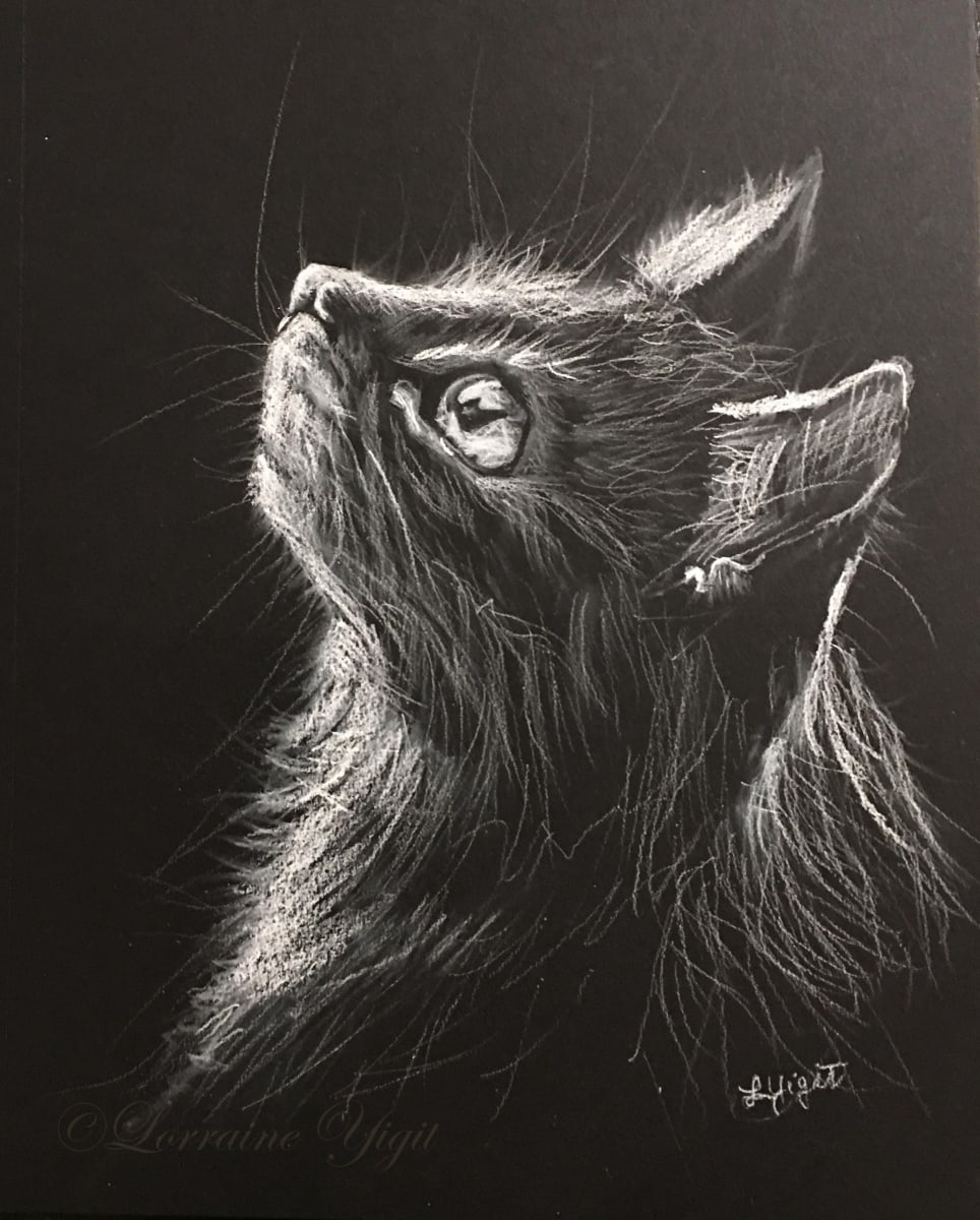 Curious Cat by Lorraine Yigit, Image 1.