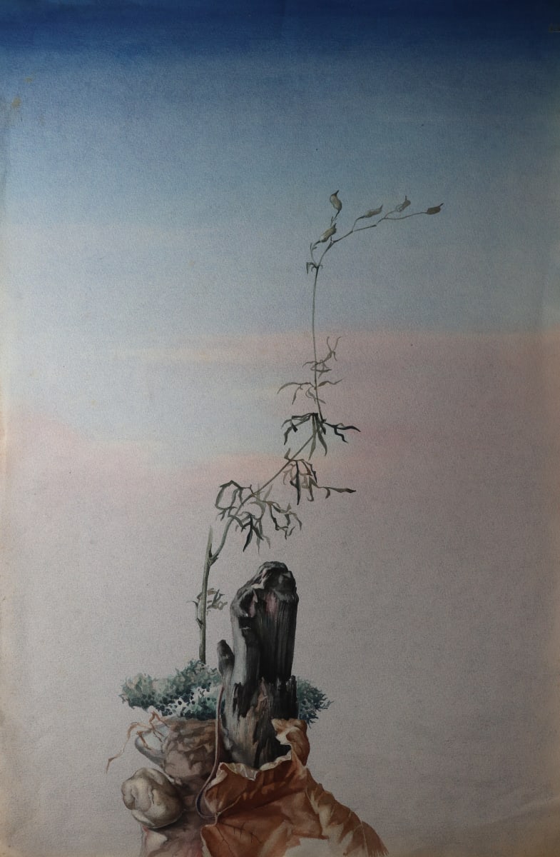 . by Albertus Gerardus Knupker 