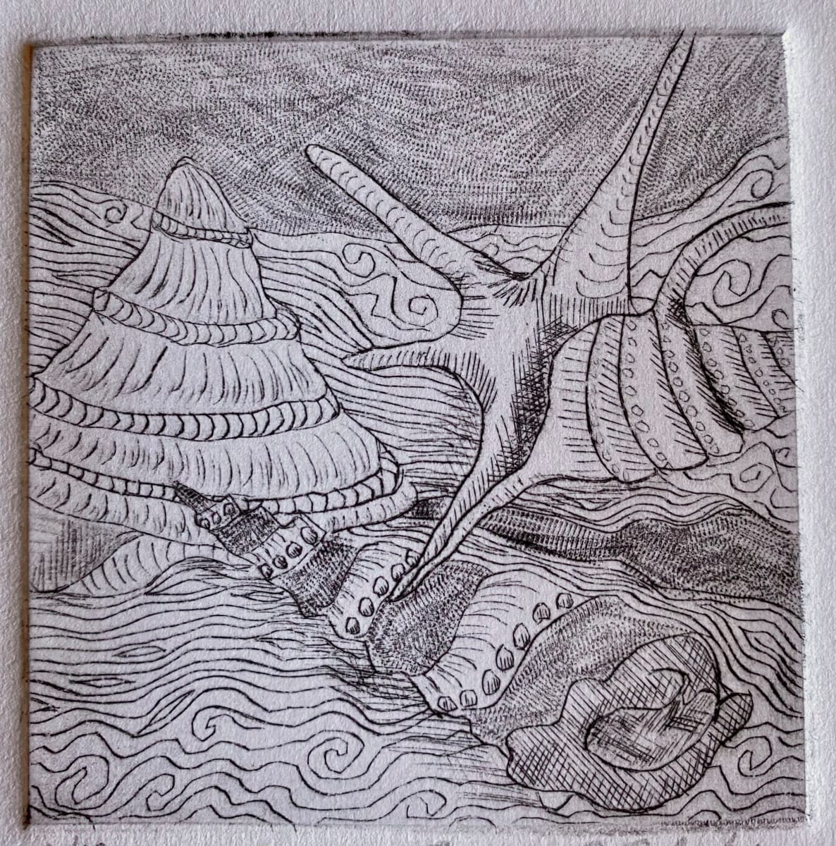 Three Shells, limited edition 2/12 by Susan F. Schafer Studio 