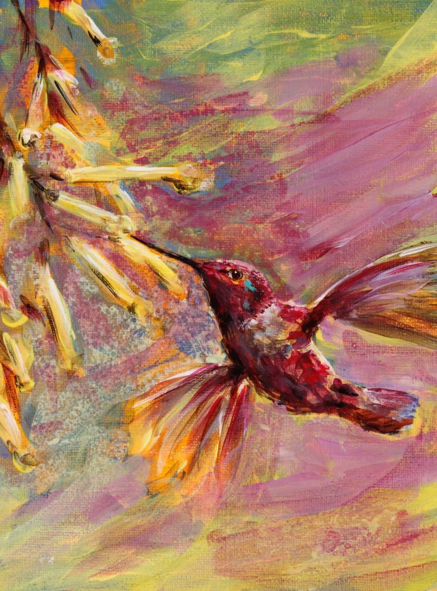 Anna's Hummingbird by Susan F. Schafer Studio 