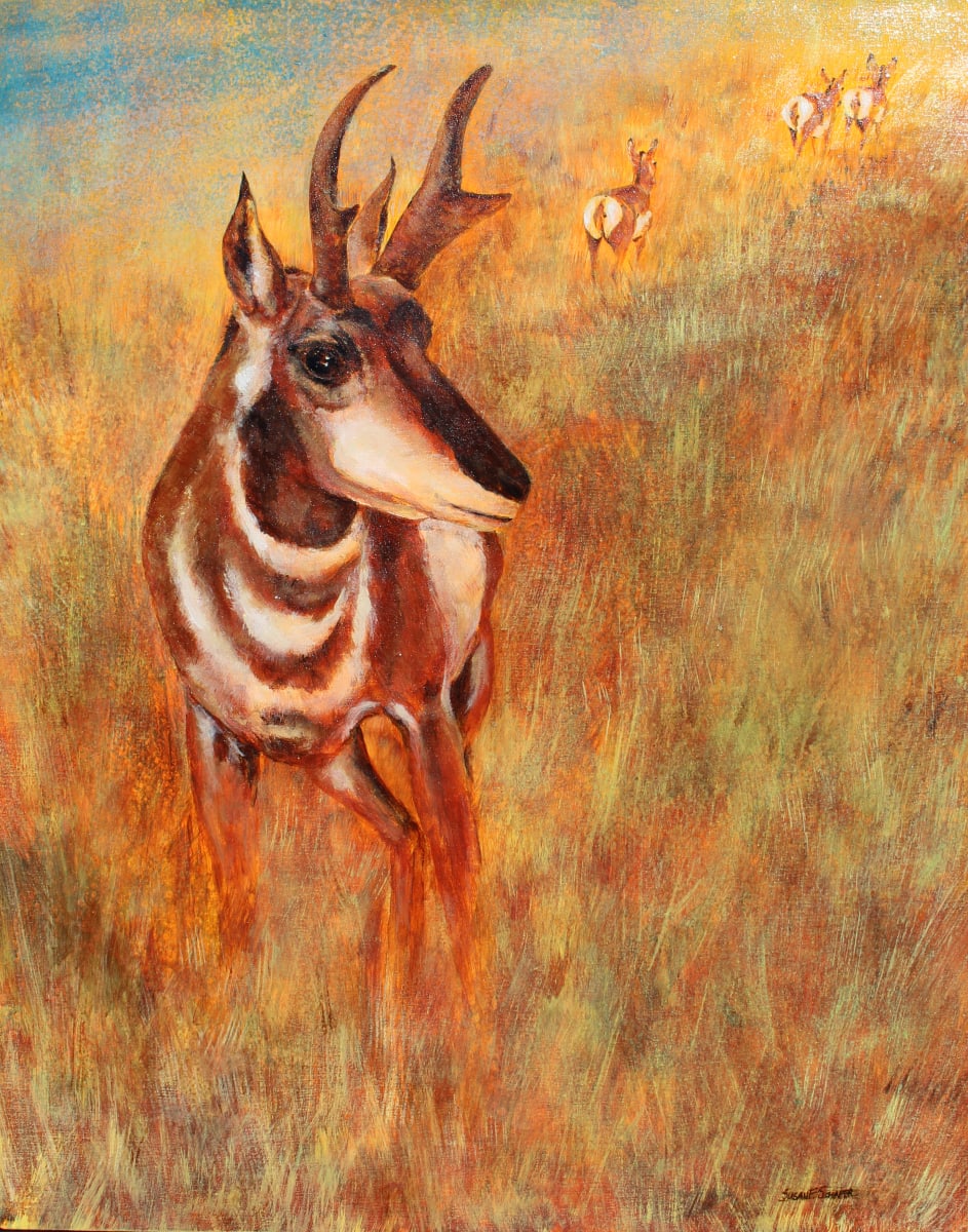 Antelope Twilight by Susan F. Schafer 