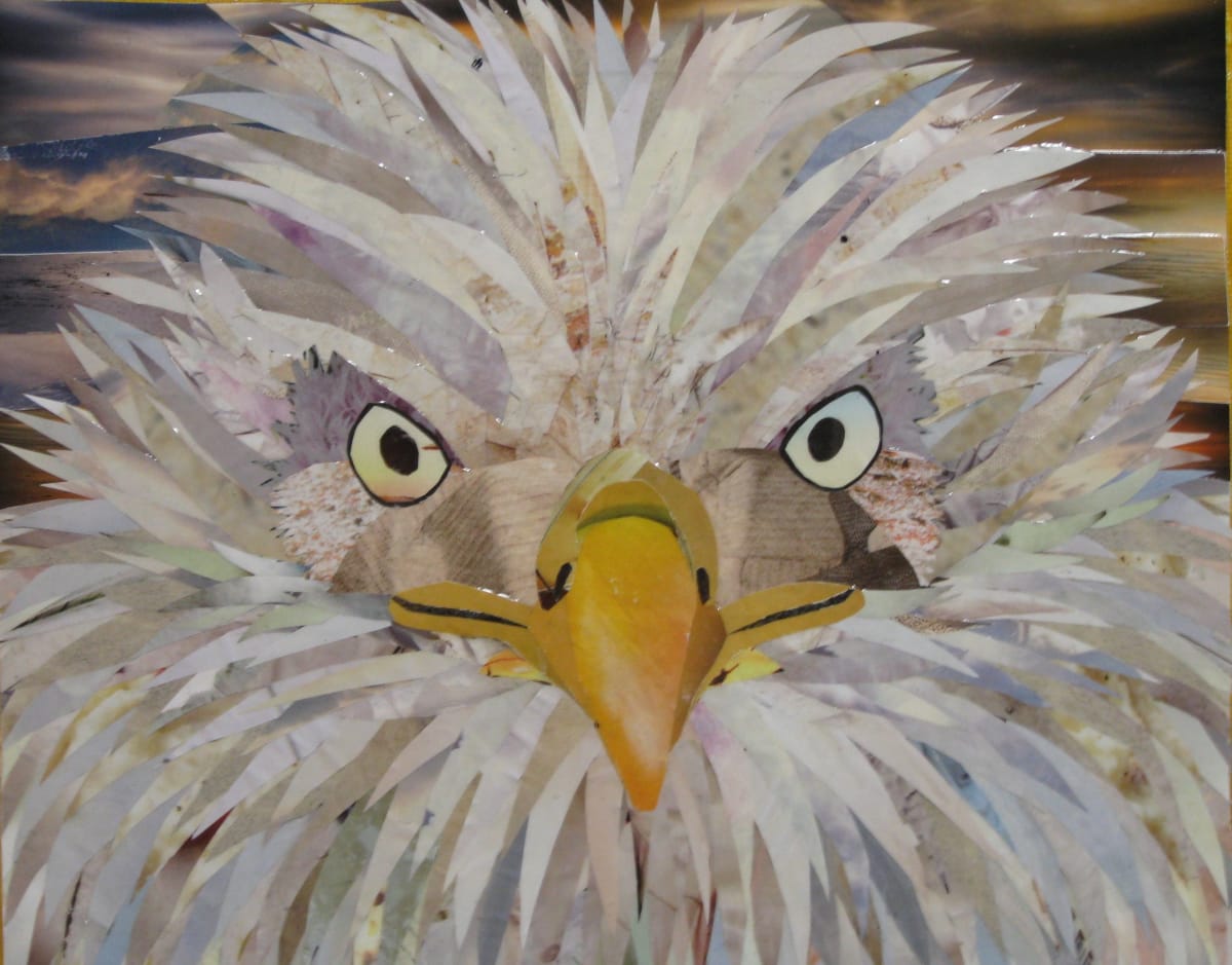 Bald Eagle Eye by Susan F. Schafer 