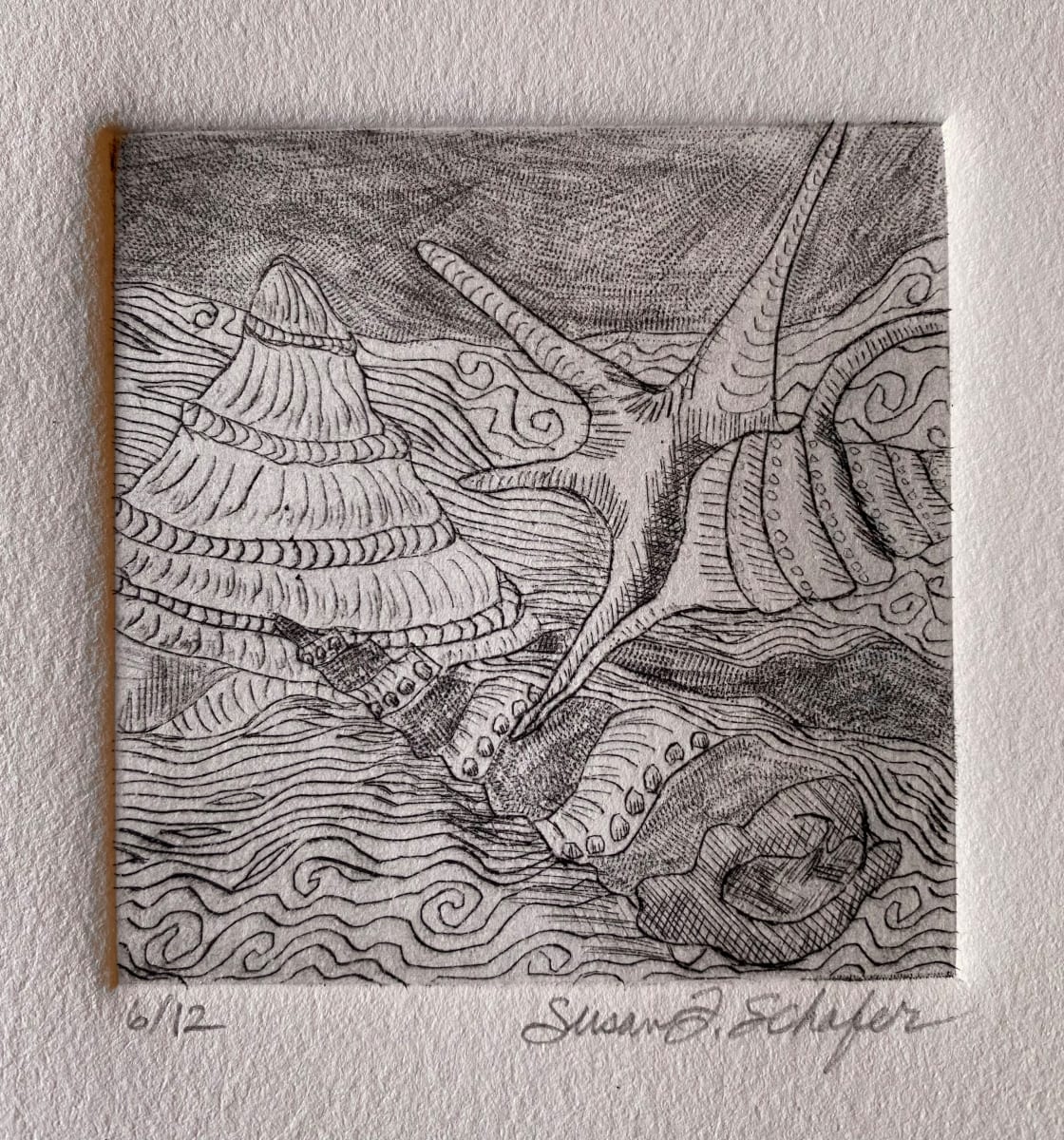 Three Shells, limited edition 6/12 by Susan F. Schafer 