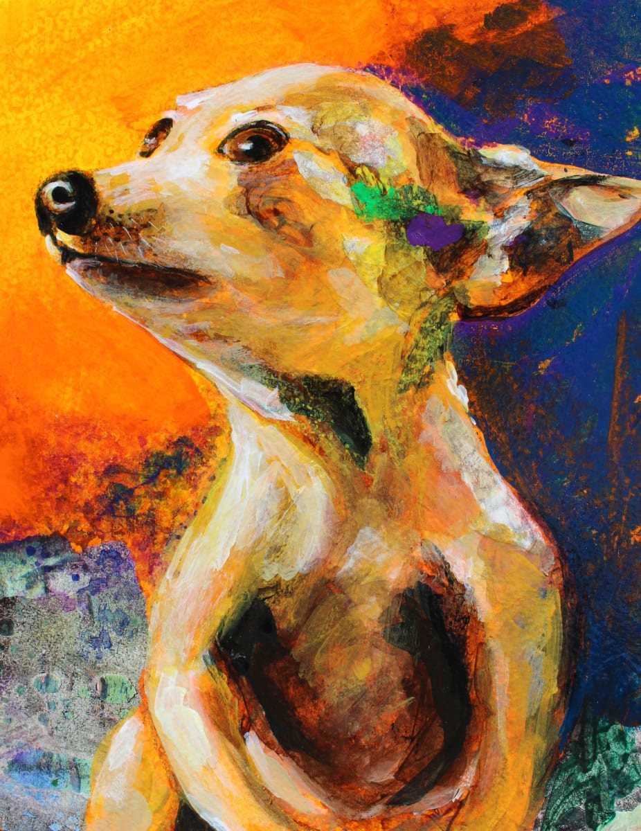 Chihuahua Sunset by Susan F. Schafer Studio 