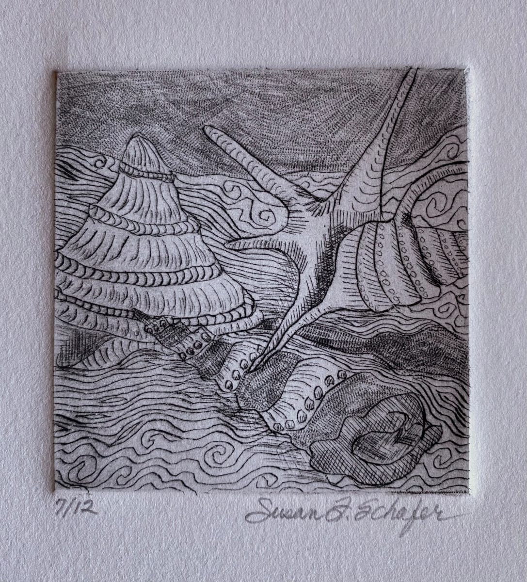 Three Shells 7/12 by Susan F. Schafer