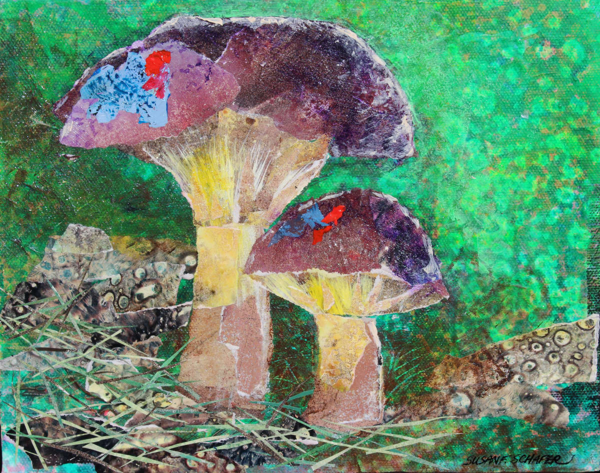 Forest Mushrooms by Susan F. Schafer Studio 