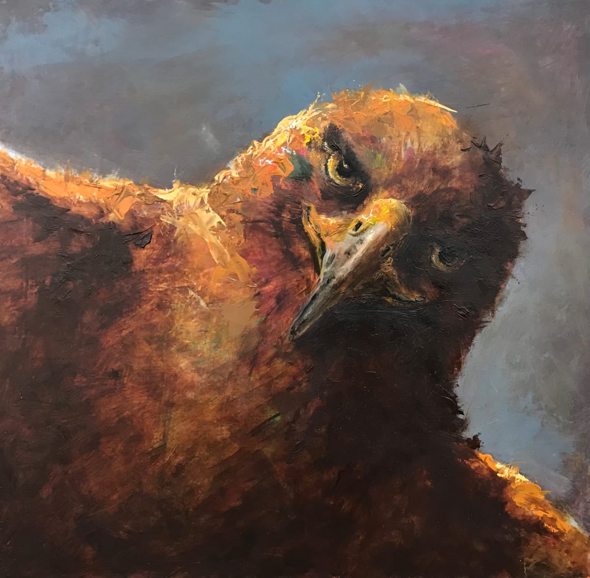 The Aviator by Susan F. Schafer Studio  Image: Inspired by the feeling that eagles soar above us like angels from heaven.