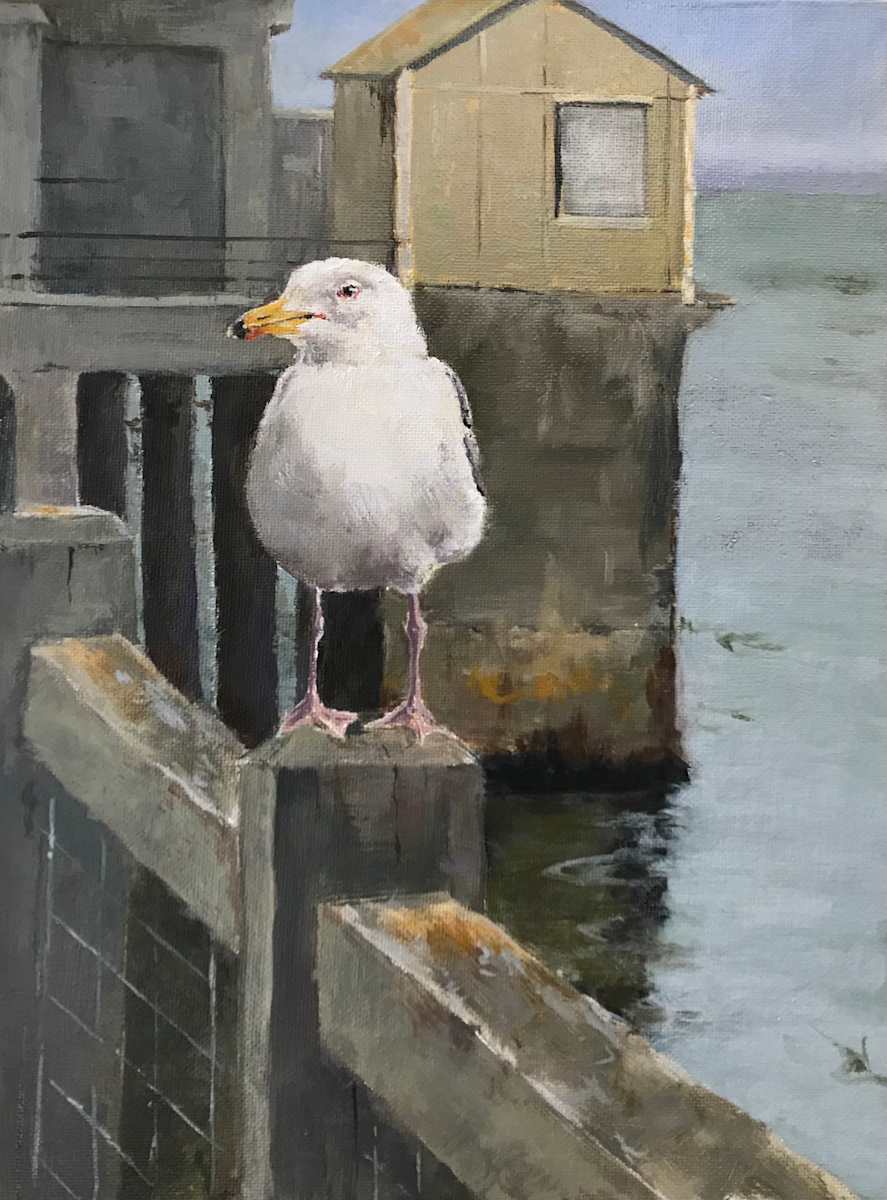 Seagull At Morro Bay by Susan F. Schafer Studio 