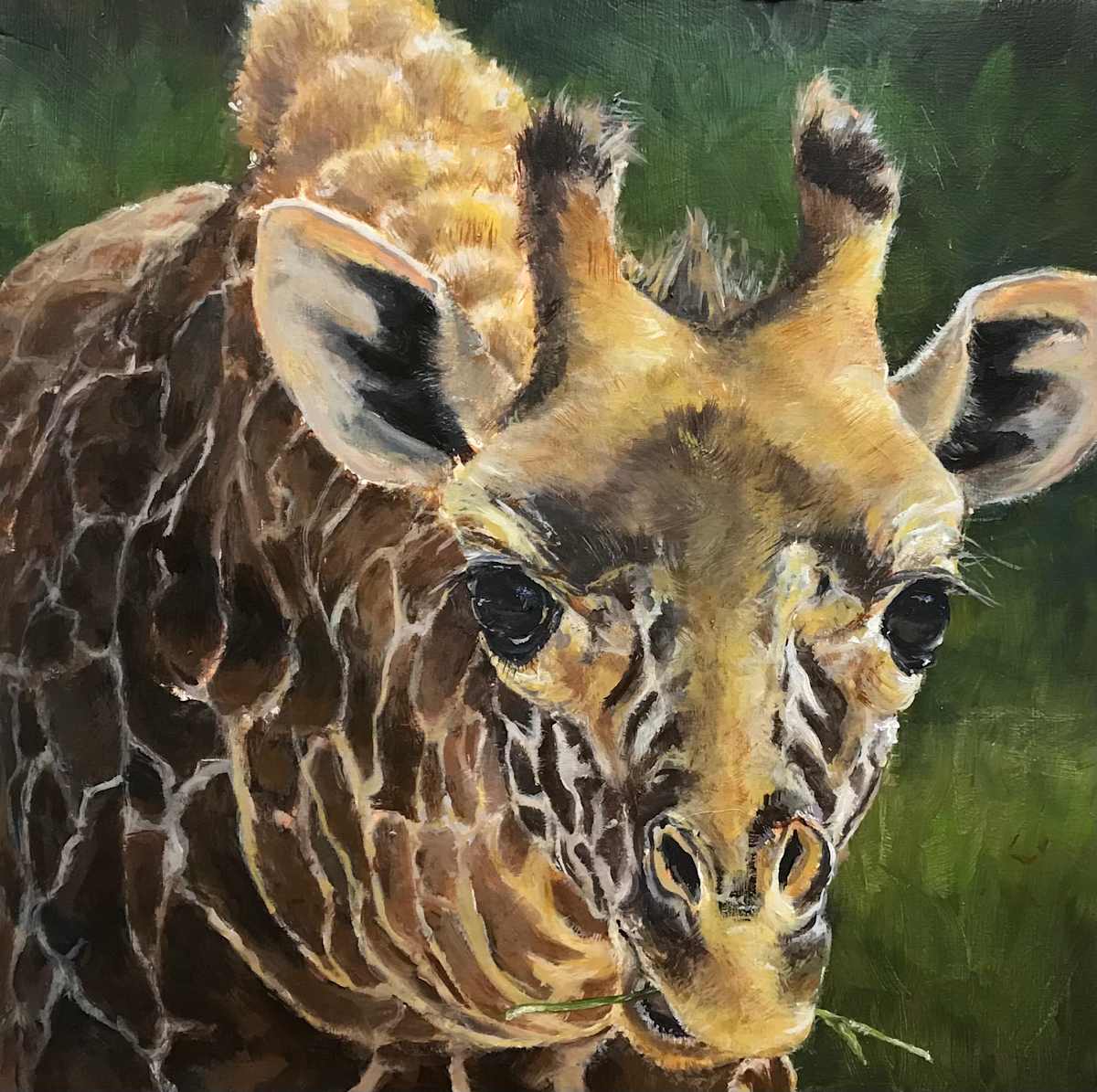 Nibbler by Susan F. Schafer Studio 